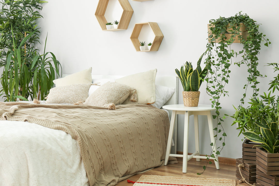 Enhance Your Bedroom Oasis: Best Houseplants for a Serene Sleep Space - Yogasleep